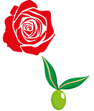 Rosa & Meo Logo